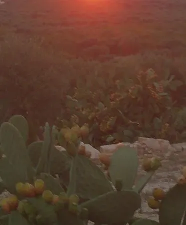 Monte Adamo * Conversano