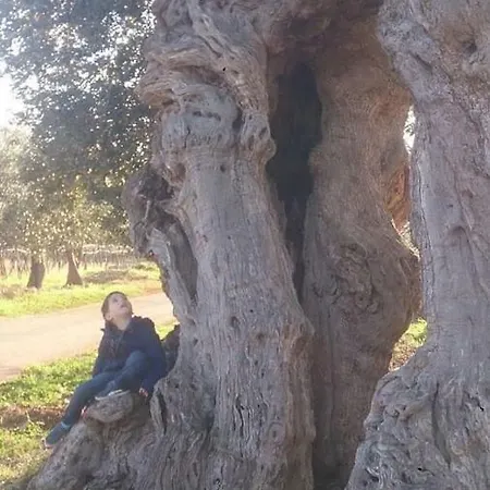 Monte Adamo * Conversano