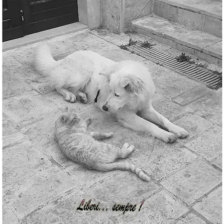 Monte Adamo * Conversano