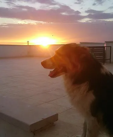 Фермерский дом Monte Adamo *