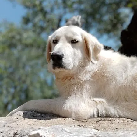 Farmház Monte Adamo Conversano