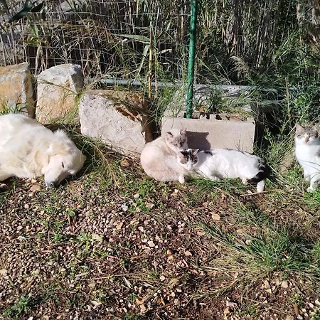 Monte Adamo Conversano