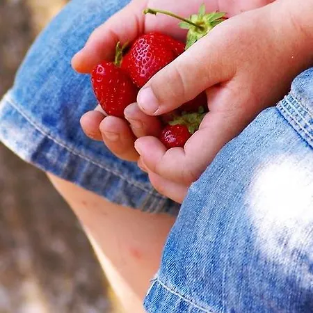 Фермерский дом Monte Adamo