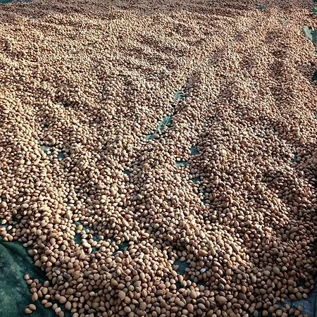 Monte Adamo Farmház