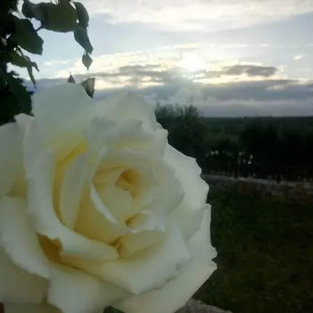 Farmház Monte Adamo Conversano