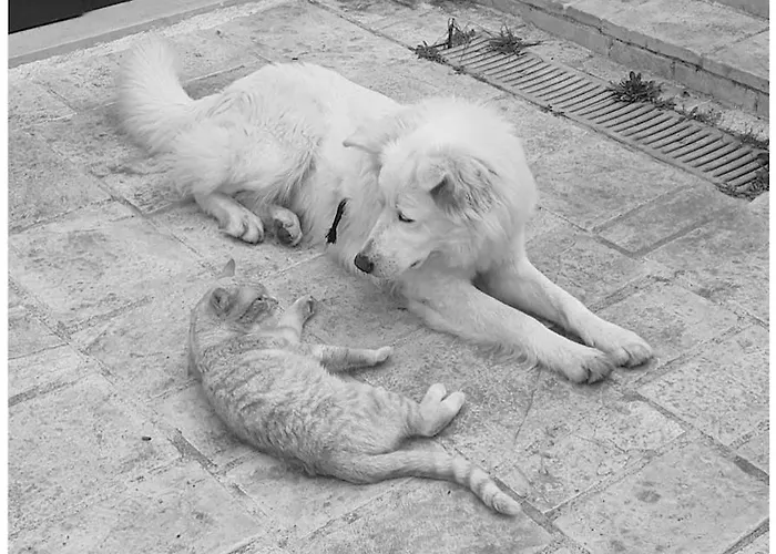 Monte Adamo * קונברסאנו